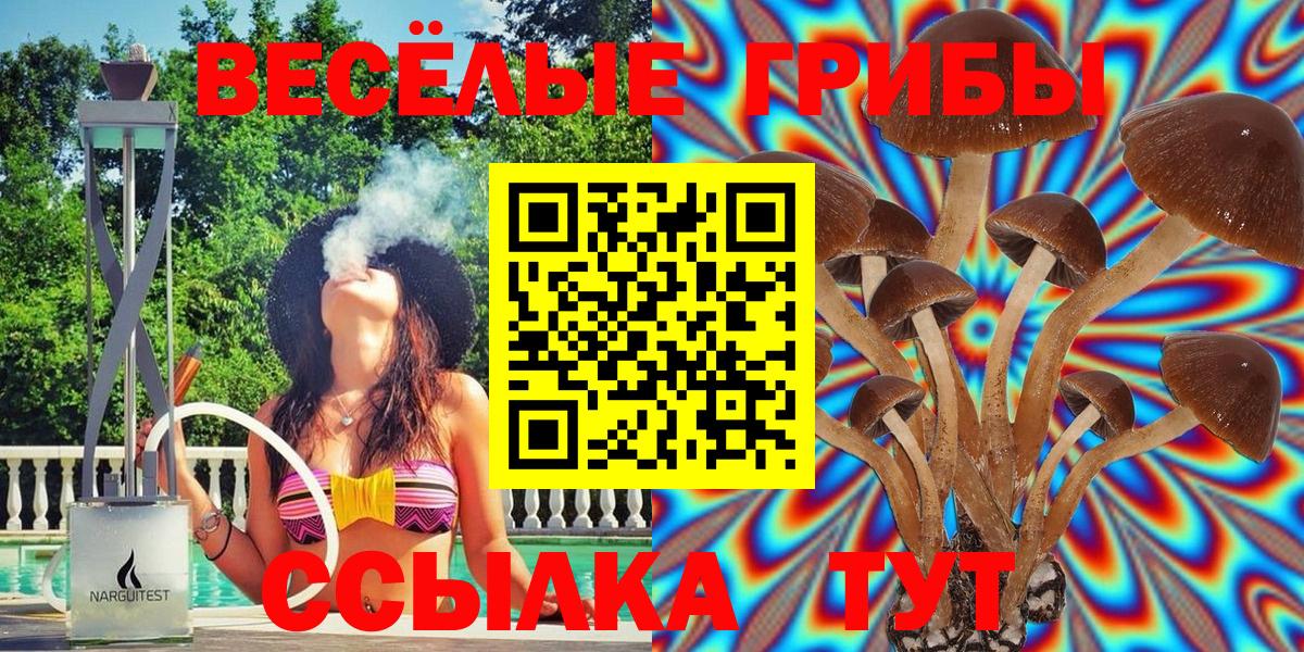 Лабытнанги  Псилоцибиновые грибы Magic Shrooms  Вход с VPN 